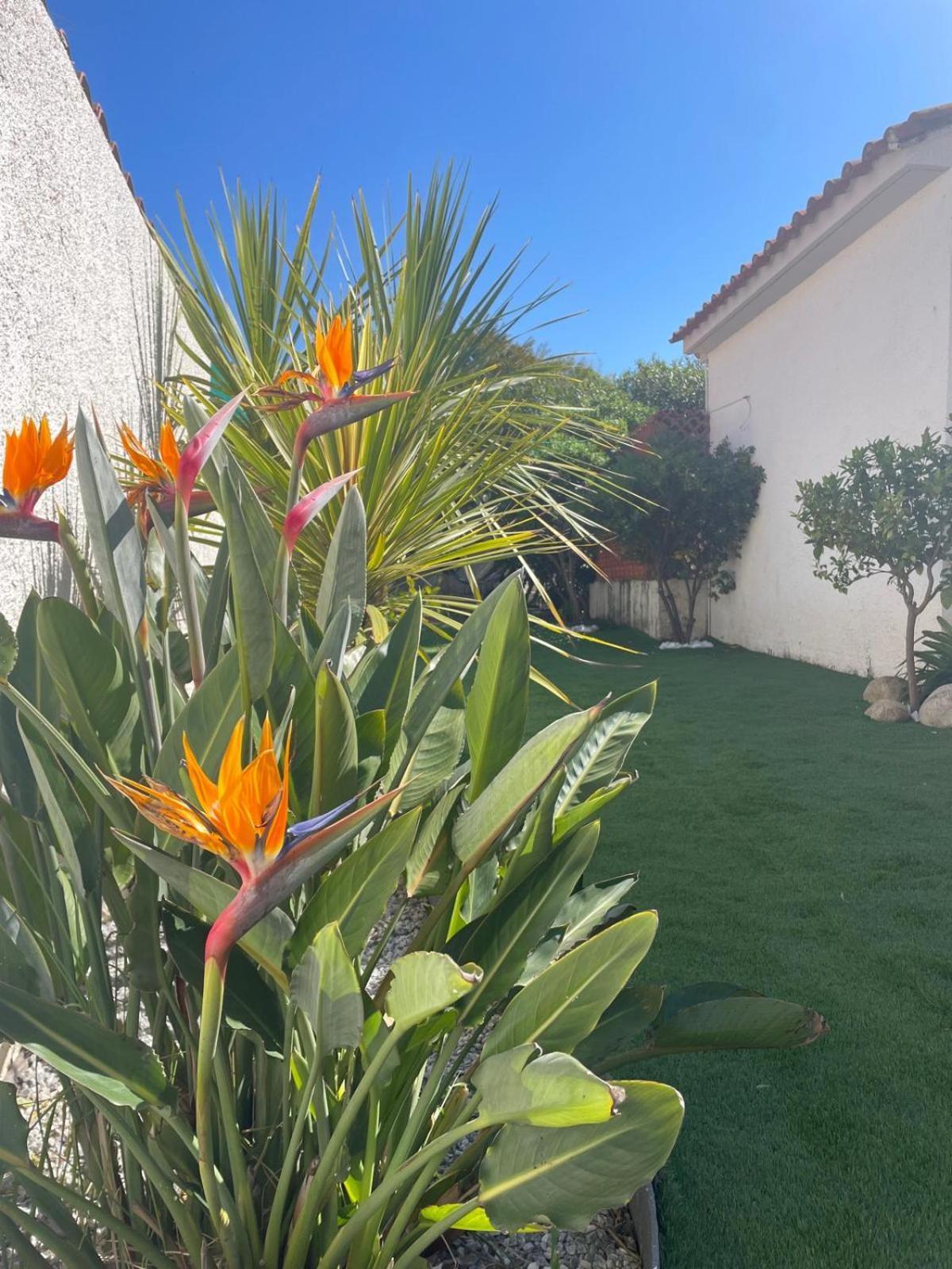 Belle Villa Classee 4 Etoiles Proche Plage Avec Jardin Saint-Cyprien  Bagian luar foto