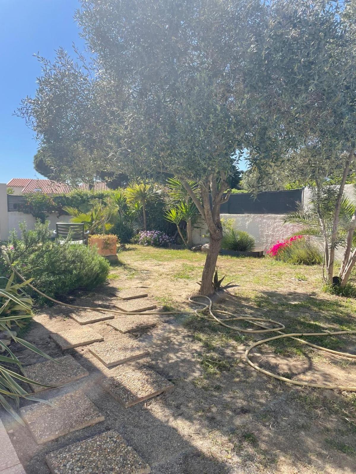 Belle Villa Classee 4 Etoiles Proche Plage Avec Jardin Saint-Cyprien  Bagian luar foto